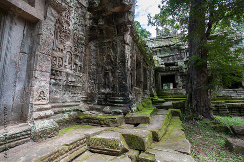 Fototapeta Naklejka Na Ścianę i Meble -  Ta Prohm Temple at Angkor Wat, A temple complex in Cambodia and the largest religious monument in the world