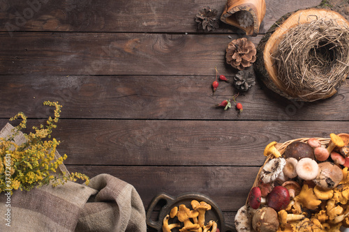 Autumn harvest of mushrooms on vintage rustic wooden background. Rustic kitchen table. Flat lay top, top view . Layout with free text space. Forest harvest concept.