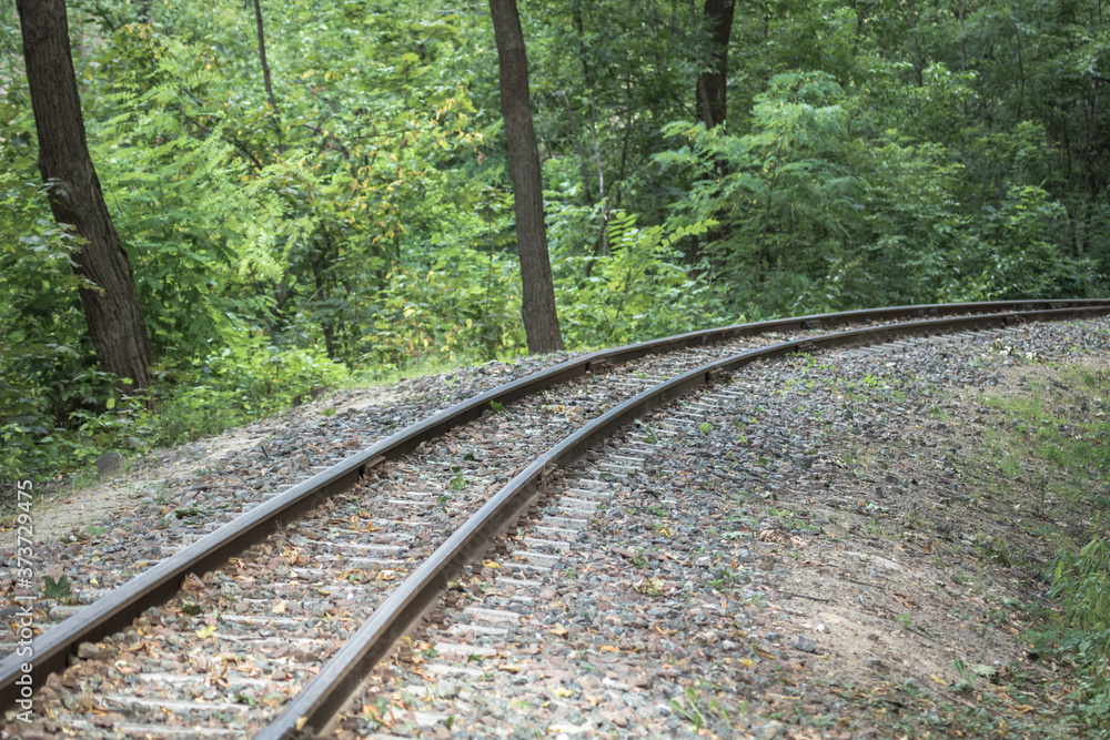 Railroad in the forest. Parallel lines. Perspective on the example of railway rails. Move forward. Travel by train. Rails and sleepers. Land mode of transport. High-speed train. Railway communication. Railroad in the forest. Parallel lines. Perspective on the example of railway rails. Move forward. Travel by train. Rails and sleepers. Land mode of transport. High-speed train. Railway communication.