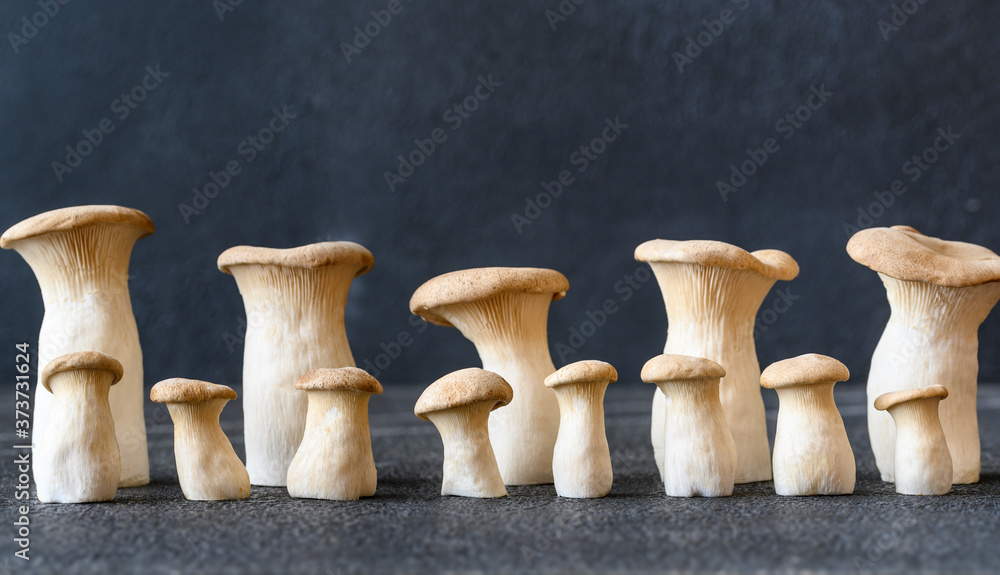 Fotografie Raw king oyster mushrooms