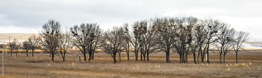 Allphotokz Taldykorgan Way 20191111 1370 D810 PS Allphotokz Taldykorgan Way 20191111 1370 D810 PS