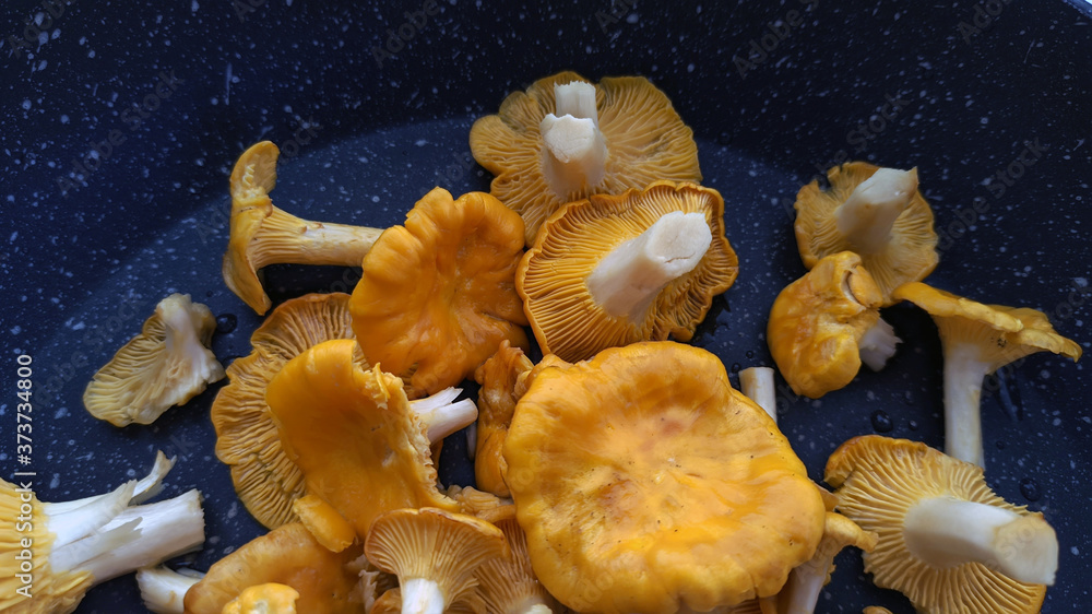 photo of chanterelle mushrooms on a black teflon frying pan