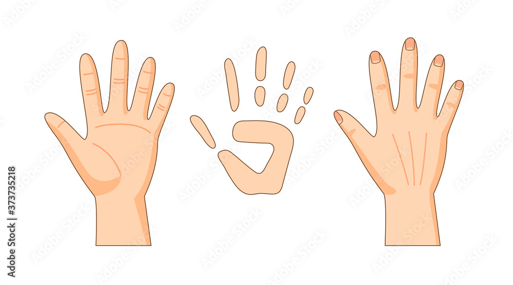 Front and back sides of hand, hand print, vector illustration Front and back sides of hand, hand print, vector illustration
