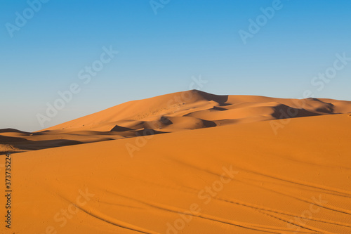 panorama delle dune del deserto di merzouga in marocco  all alba  con cielo azzurro e sabbia arancio