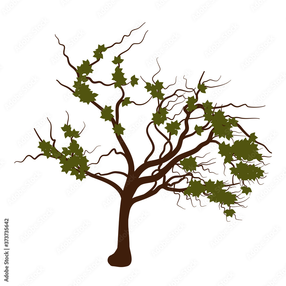The tree with leaves flat illustration