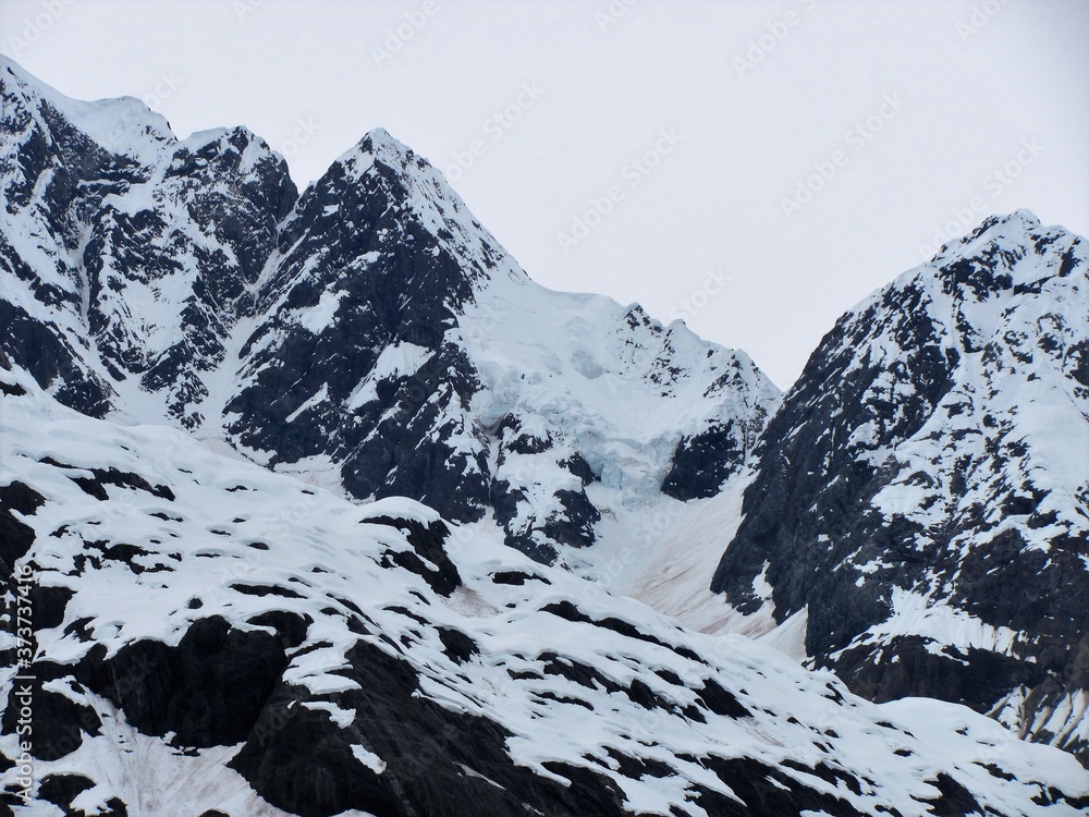 Obraz premium Alaska, Cruising Along the Inside Passage Glacier Bay
