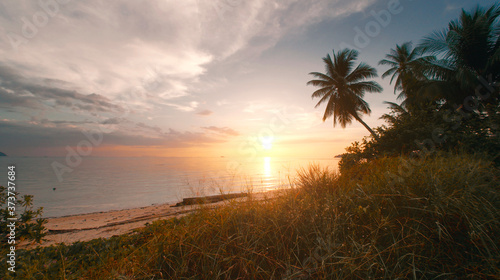 Tropical beach with grass palm trees and sunset sea view