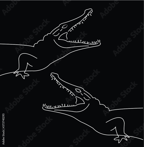 Crocodile head silhouette