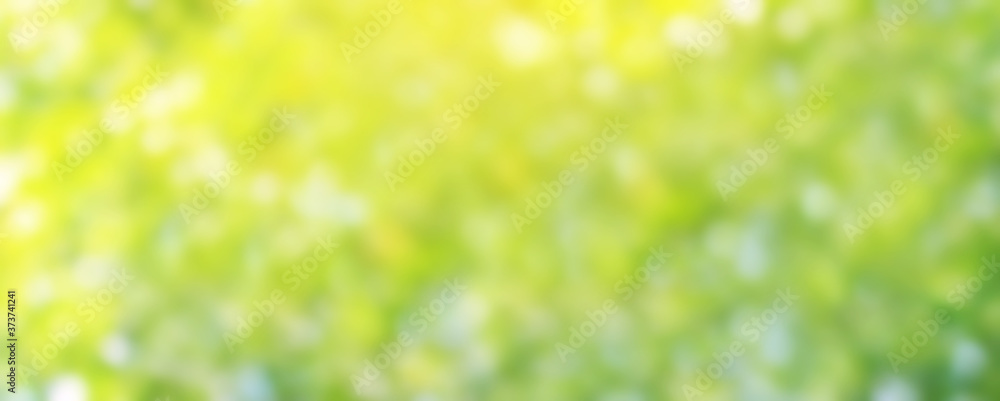 blurred background bokeh green soft for banner advertise, nature background