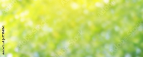 blurred background bokeh green soft for banner advertise, nature background