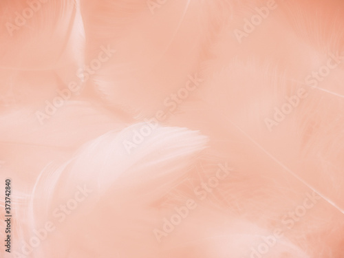 Beautiful abstract orange color and white feathers on white background, soft brown feather texture on white pattern background, yellow feather background