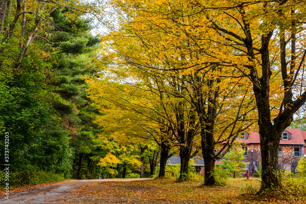 Autumn in New England by Constantine Autumn in New England by Constantine