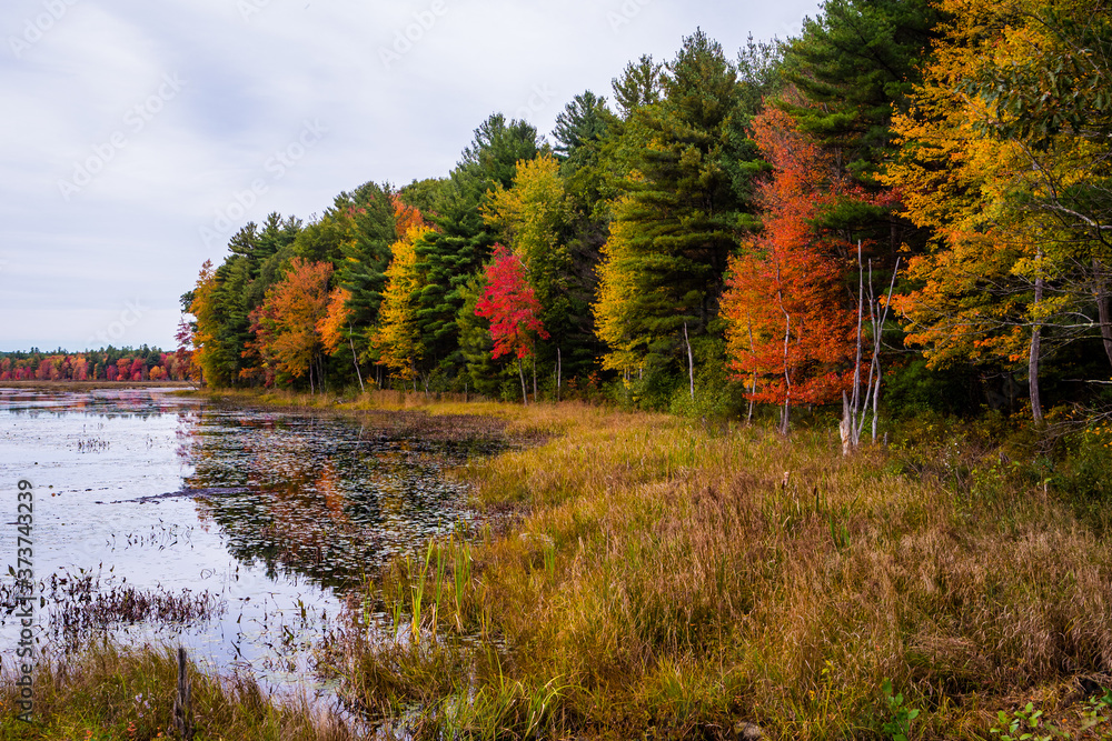 Autumn in New England by Constantine Autumn in New England by Constantine