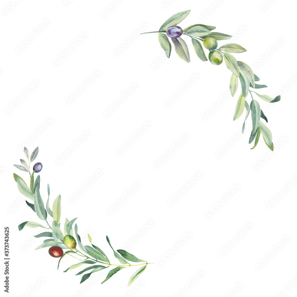Hand paint watercolor frame with olive branches and leaves on white ...