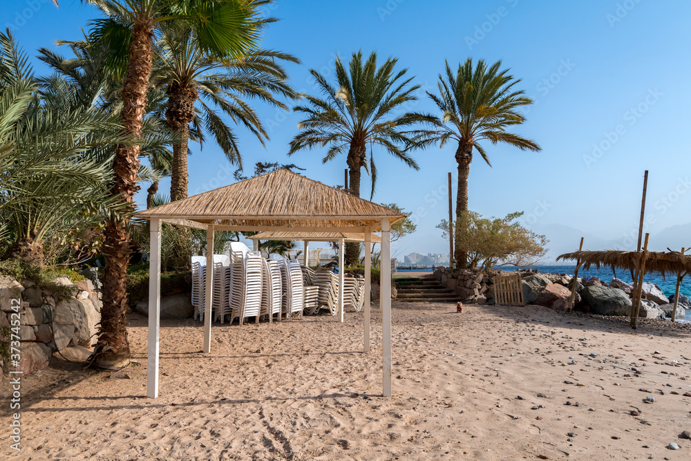 Resting and recreational area with sunshades and palm trees at a sandy beach of the Red Sea,  Middle East