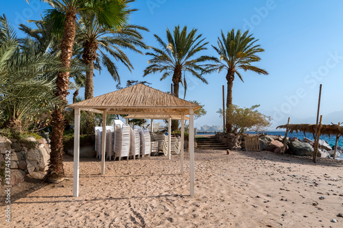 Resting and recreational area with sunshades and palm trees at a sandy beach of the Red Sea   Middle East