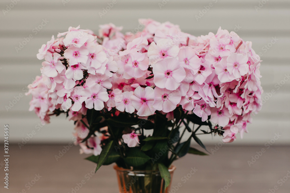 Fototapeta premium Vase with pink flowers on the wall background.