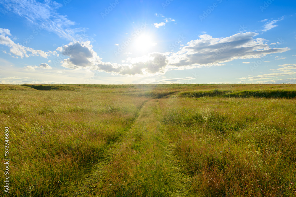 Evening summer landscape with green field, blue sky with clouds and sun