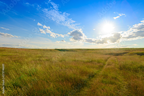 Evening summer landscape with green field  blue sky with clouds and sun