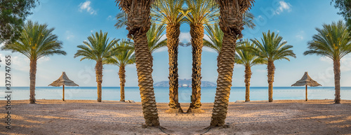 Resting and recreational area with sunshades and palm trees at a sandy beach ...