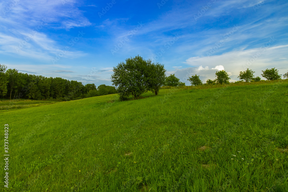 clean nature environment space scenic view green field and trees on edge of forest in clear weather peaceful summer day time blue sky background