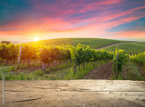 Chianti vineyard landscape in Tuscany, Italy field