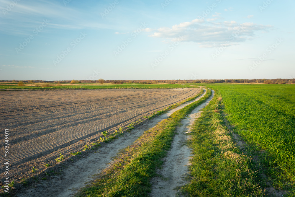 A country road through fields, horizon and sky A country road through fields, horizon and sky