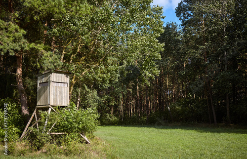 Wooden deer stand on forest edge.