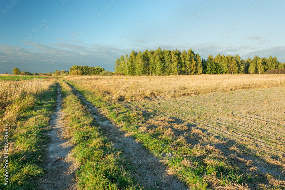 Dirt country road through fields, small forest and clouds in the sky