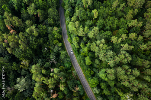 Road in forest, aerial view
