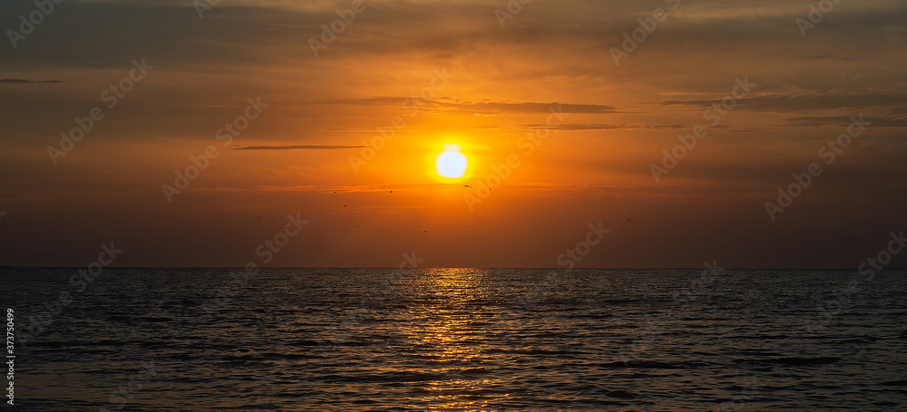 Panorama of golden sunrise or sunset over the sea, ocean. Flock of birds flying on the background of the sun. Travel concept.
