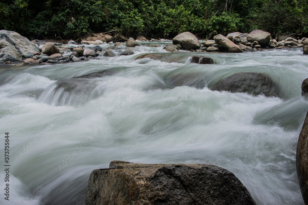 Fototapeta premium rio, agua, river, piedras, selva