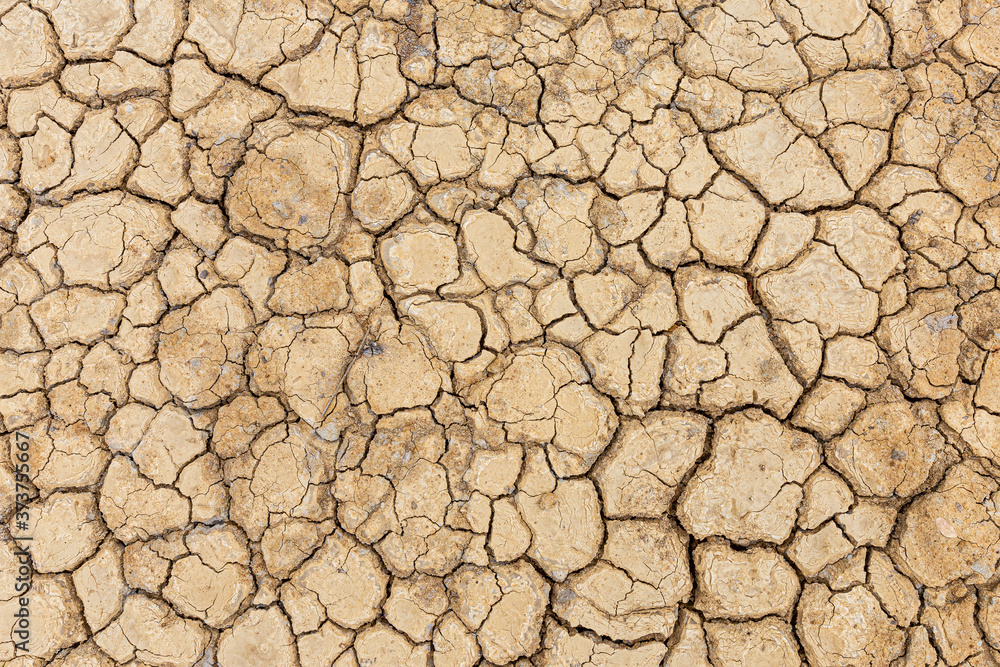 Brown dry soil or desert cracked ground texture background,land arid earth warming. Brown dry soil or desert cracked ground texture background,land arid earth warming.