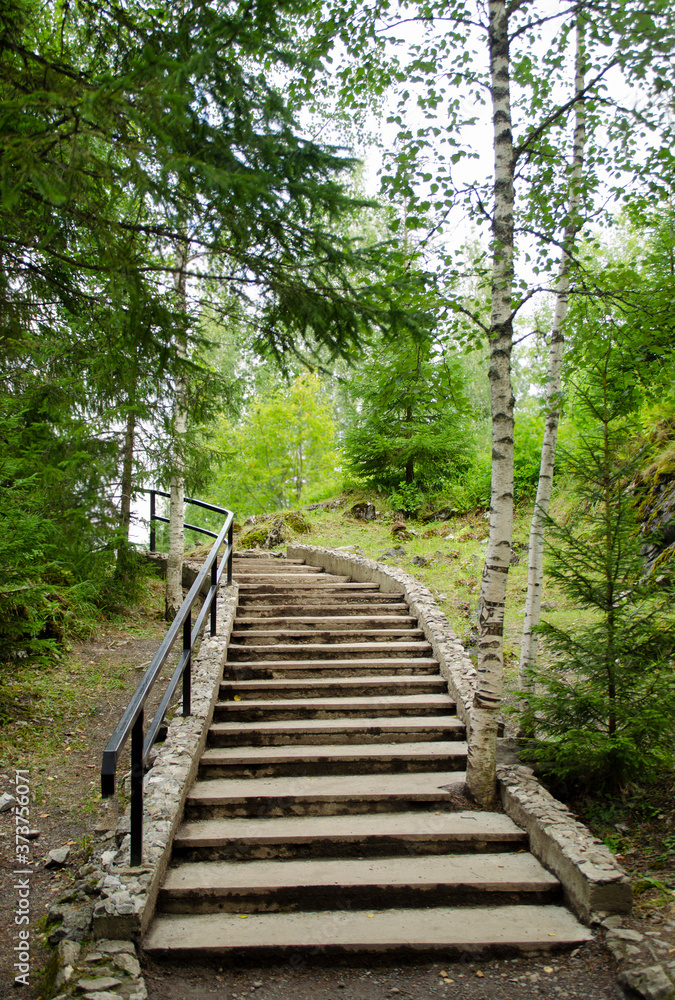 Old wooden staircase leading up in the middle of a green forest. Old wooden staircase leading up in the middle of a green forest.