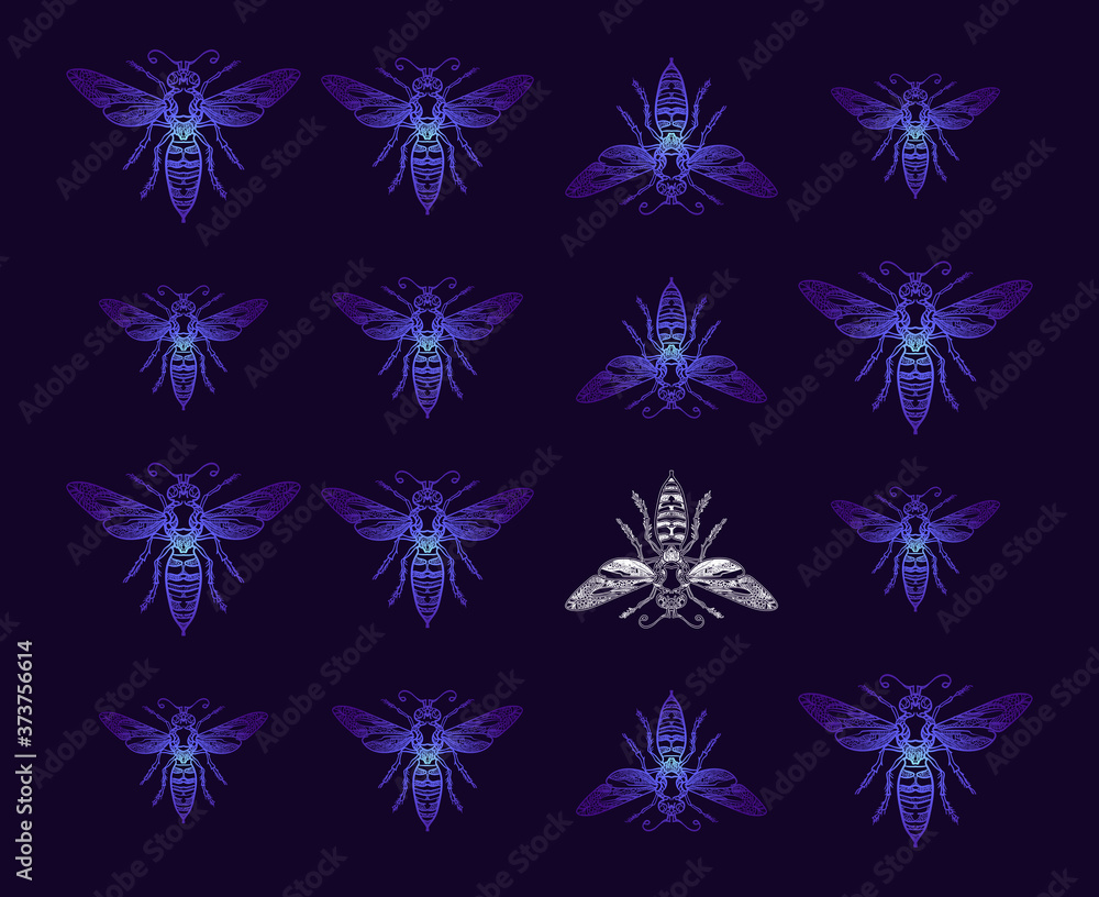 Hand-drawn decorative bees on a dark blue background. Botanical design. Perfect for postcards, banners, business cards, invitations. EPS 10 Hand-drawn decorative bees on a dark blue background. Botanical design. Perfect for postcards, banners, business cards, invitations. EPS 10