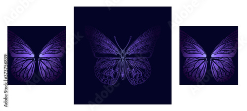 Canvas Print Hand-drawn decorative butterfly on a dark blue background