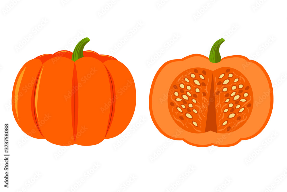 Obraz premium Orange pumpkin, whole and half. Pumpkin isolated on a white background. Stock vector illustration. Illustration for the holiday Halloween and Thanksgiving.