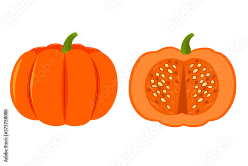 Orange pumpkin, whole and half. Pumpkin isolated on a white background. Stock vector illustration. Illustration for the holiday Halloween and Thanksgiving.