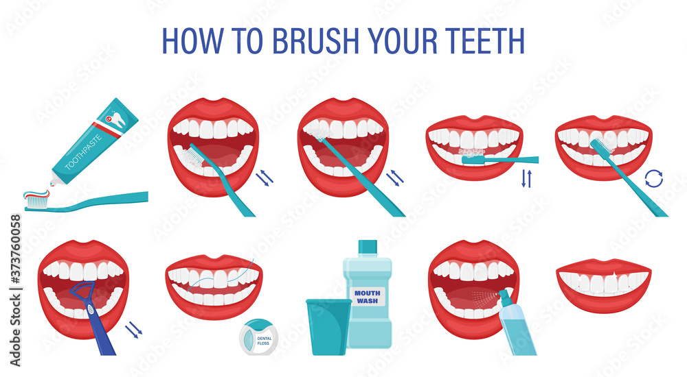 Infographic how to brush your teeth. Step-by-step instructions. Oral ...