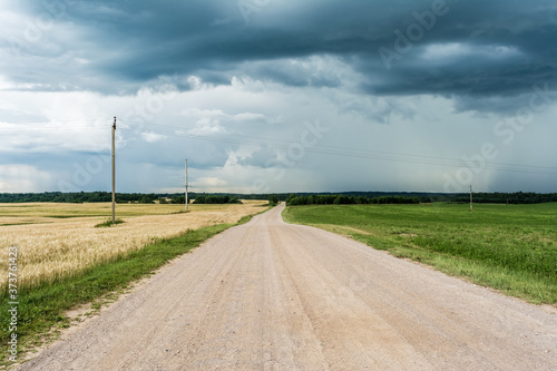 Rural sandy road runs through a field sown with wheat. Large gloomy clouds of a storm cyclone. Rainy season