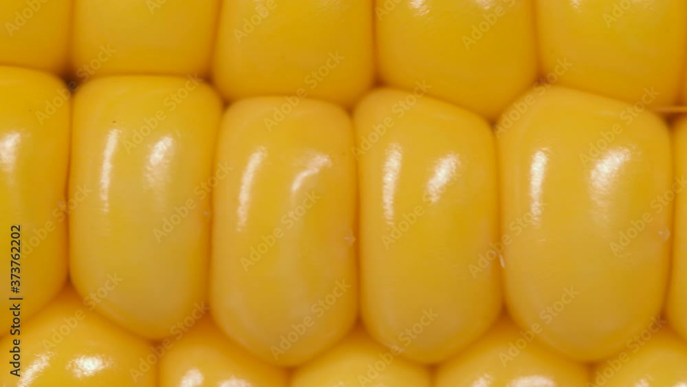 Macro View Yellow Grains Corn Cob Background Food Organic Close Up. Closeup Fresh Sweet Corn on Cob, Ingredient Prepare for Organic Food. Corn Seeds Texture, Agriculture Healthy Natural Nutrition. Macro View Yellow Grains Corn Cob Background Food Organic Close Up. Closeup Fresh Sweet Corn on Cob, Ingredient Prepare for Organic Food. Corn Seeds Texture, Agriculture Healthy Natural Nutrition.