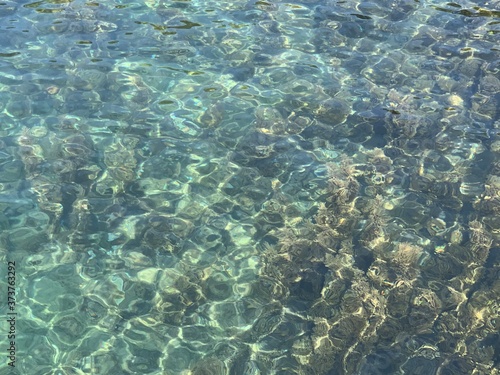 coral reef in the blue sea. crystal clear water of Adriatic.