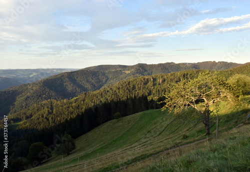 Blick vom Hinterwaldkopf auf den Schwarzwald in der Abendsonne