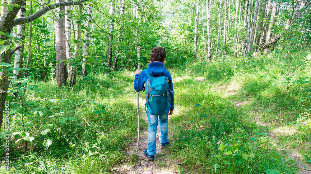 A child traveler walks along a forest path to a campground. Survival techniques in the wild. A boy in tourist equipment is engaged in orienteering in the forest. A child traveler walks along a forest path to a campground. Survival techniques in the wild. A boy in tourist equipment is engaged in orienteering in the forest.