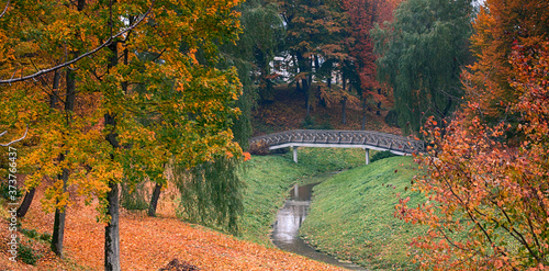 view of the old park photo