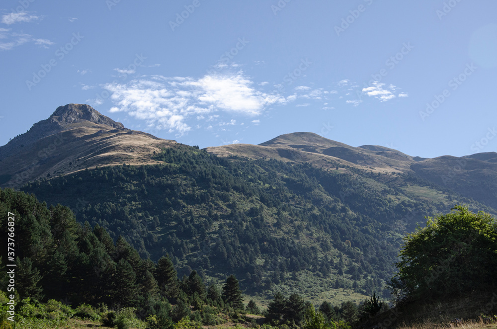 Beautiful mountain landscape covered by pine trees and blue sky