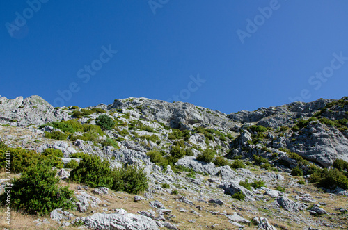 Rocky and arid terrain, with many bushes