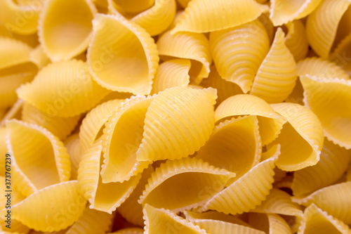 Pasta in form of shells. Background.