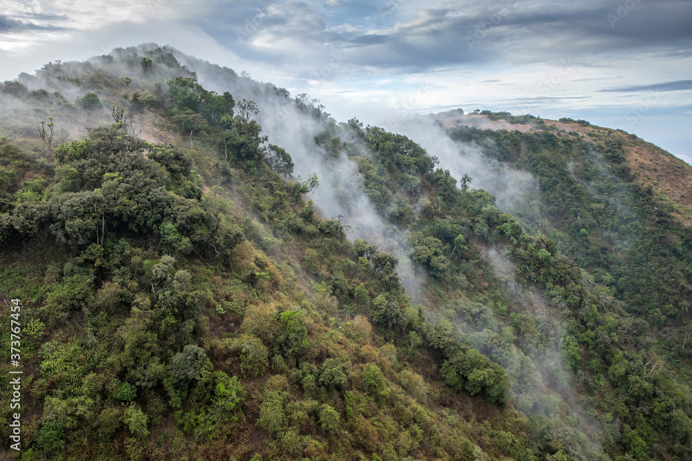Africa, Kenya, Ngong Hills Nature Reserve, Aerial view of forest