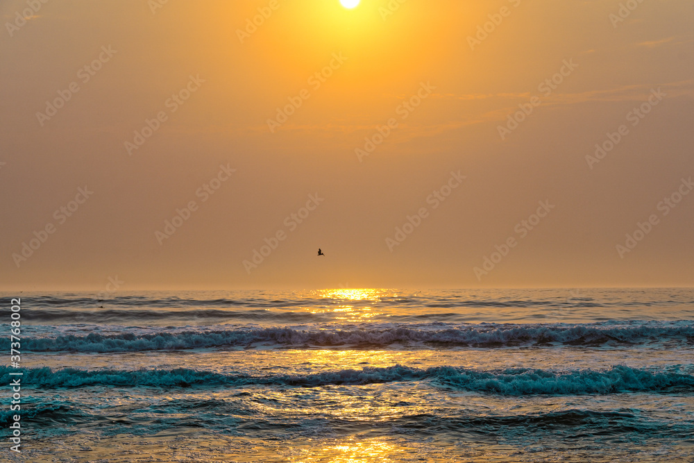 Sunset over the sea and flying birds. Beautiful scenic seascape, tropical beach background